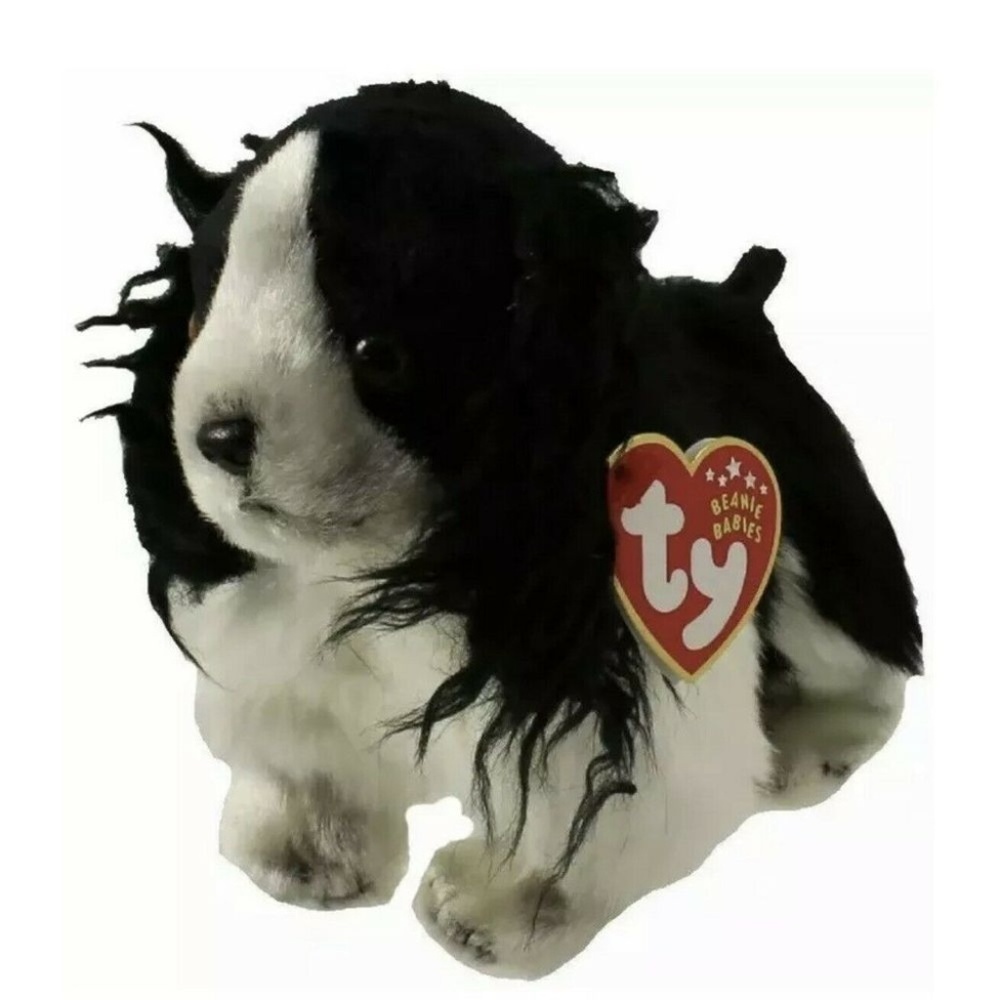 TY Beanie Baby - FROLIC the Cocker Spaniel Dog A1